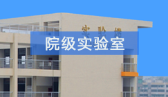 说球帝手机版图片